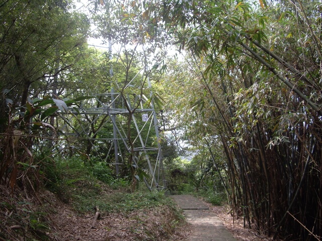 九芎湖步道、九芎湖山