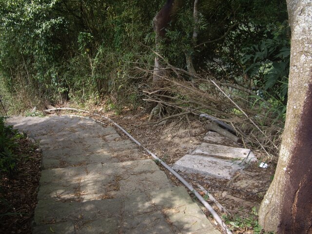 九芎湖步道、九芎湖山