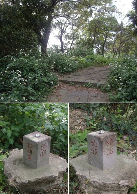 九芎湖步道、九芎湖山