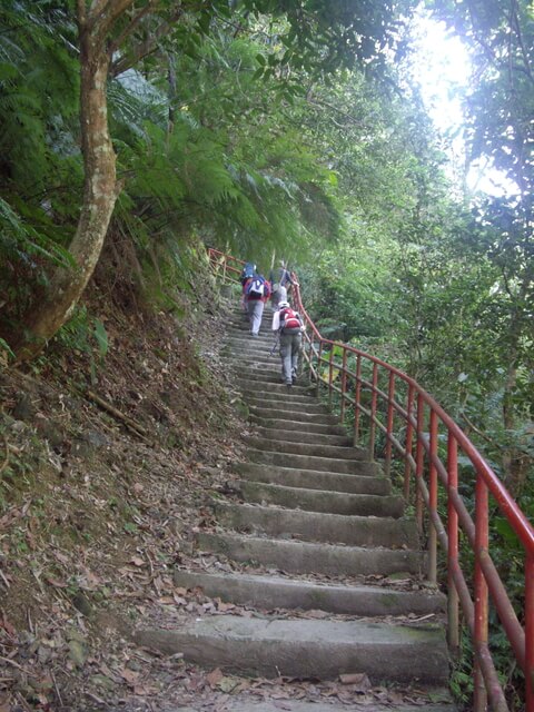 紅河谷古道越嶺熊空