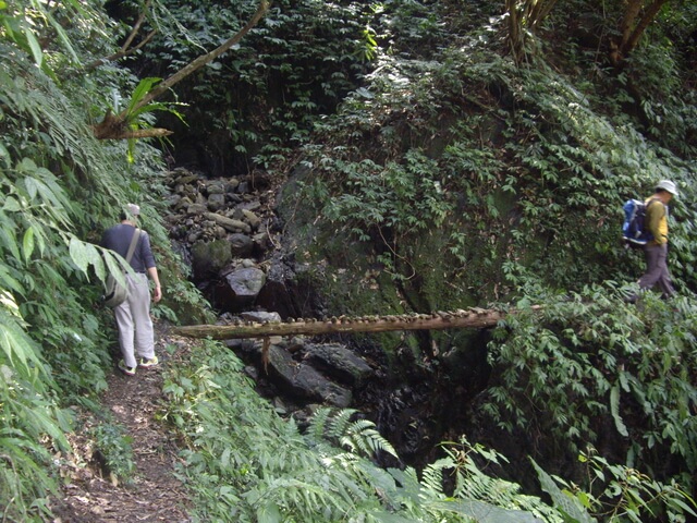 紅河谷古道越嶺熊空