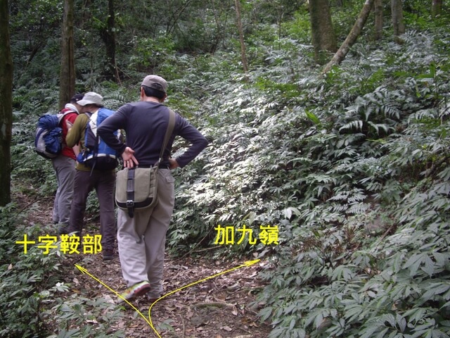 紅河谷古道越嶺熊空