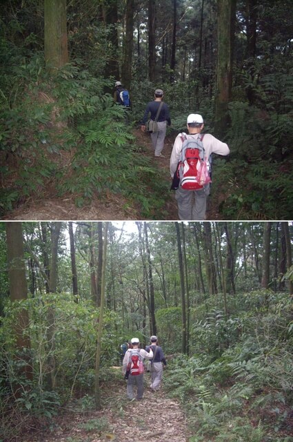 紅河谷古道越嶺熊空