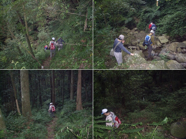 紅河谷古道越嶺熊空