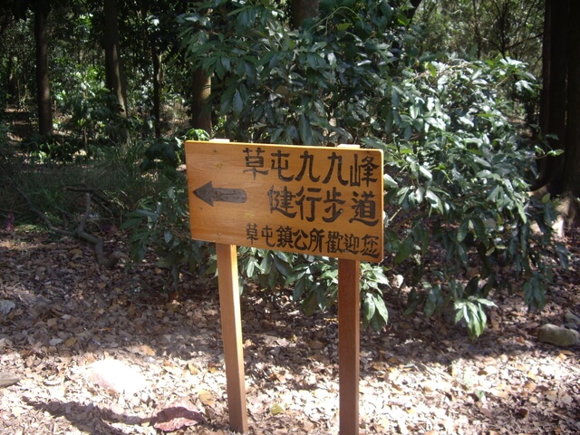 九九峰森林步道
