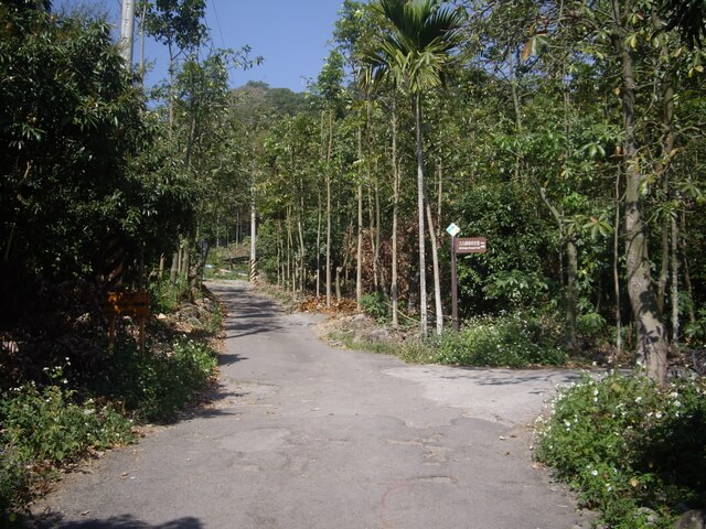 九九峰森林步道