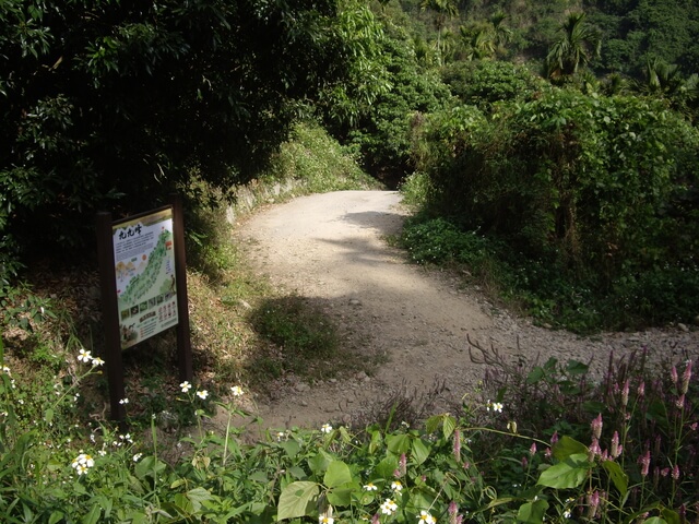 九九峰森林步道