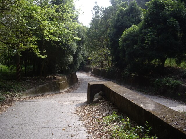 九九峰森林步道