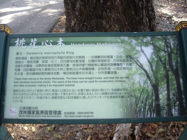 新威森林公園