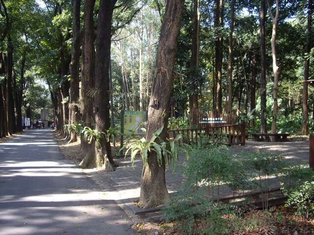 新威森林公園