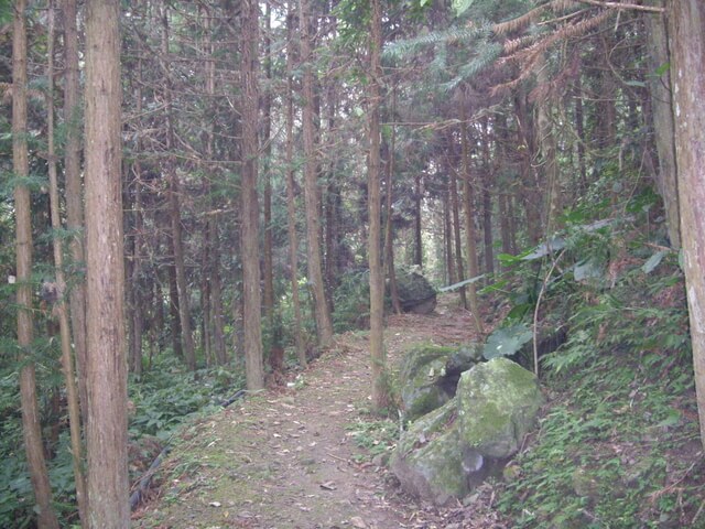 小東河步道