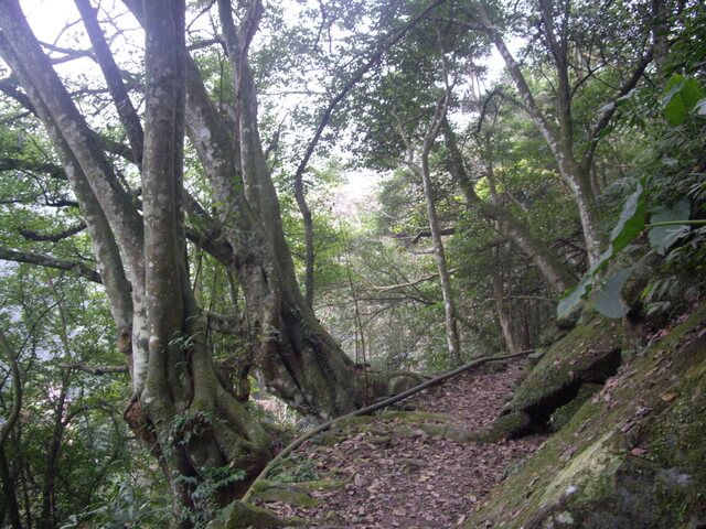 小東河步道