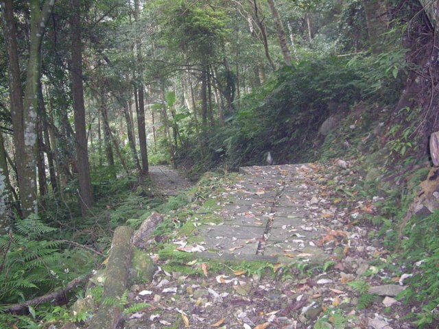 小東河步道