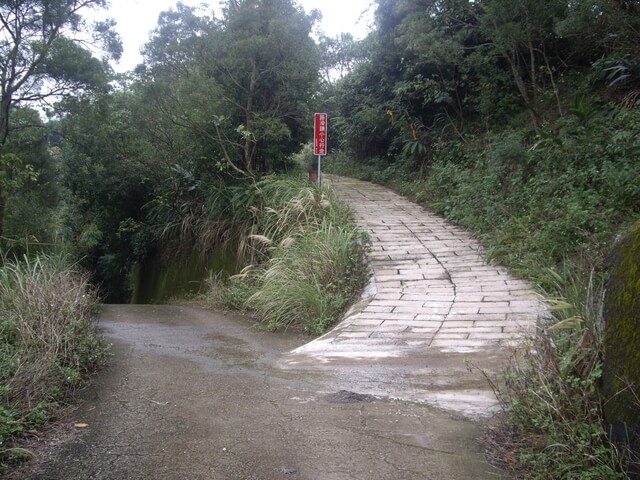 【苗栗頭屋】北隘勇古道、蕃子寮山