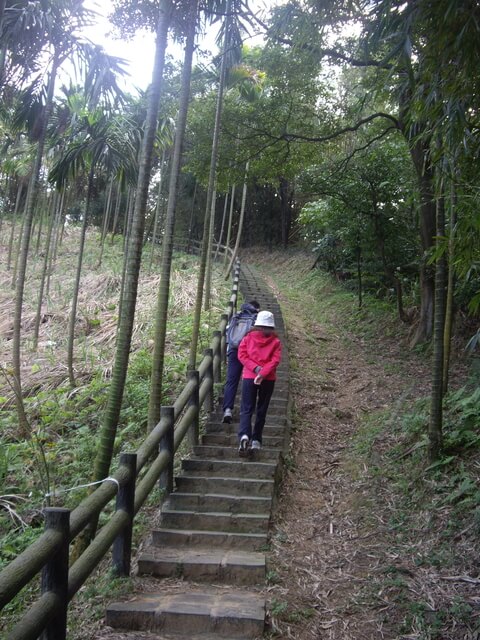 福源山步道、福源山、圳頭山、望湖山