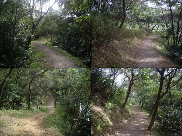 福源山步道、福源山、圳頭山、望湖山