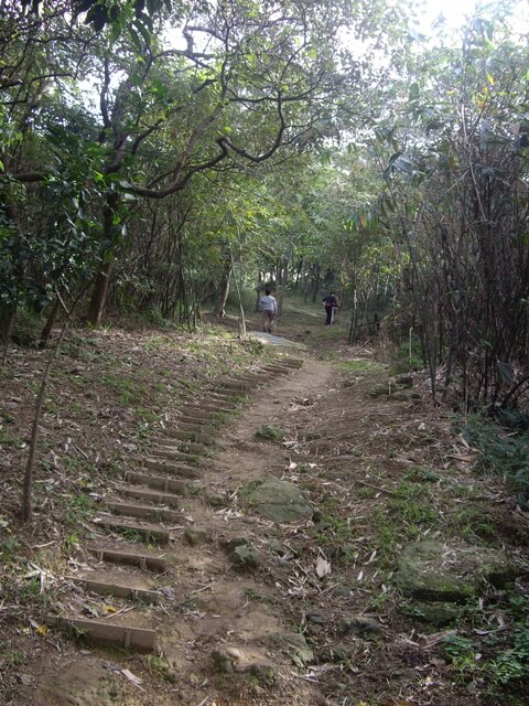 福源山步道、福源山、圳頭山、望湖山