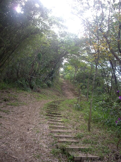 福源山步道、福源山、圳頭山、望湖山