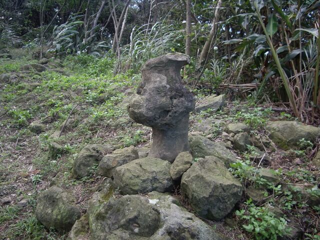 福源山步道、福源山、圳頭山、望湖山