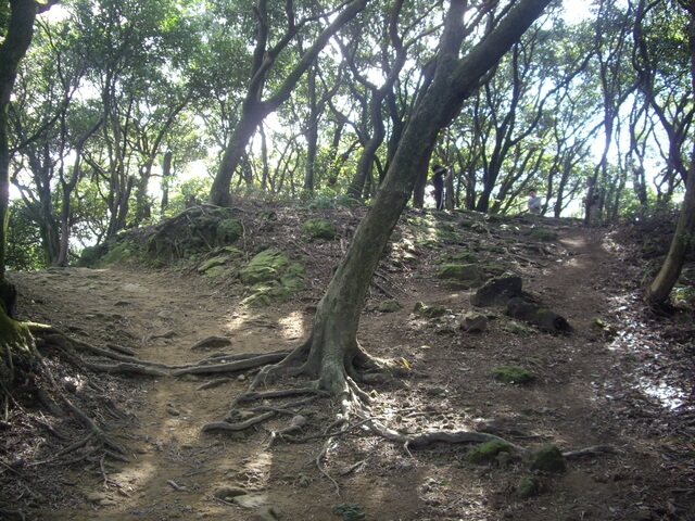 福源山步道、福源山、圳頭山、望湖山