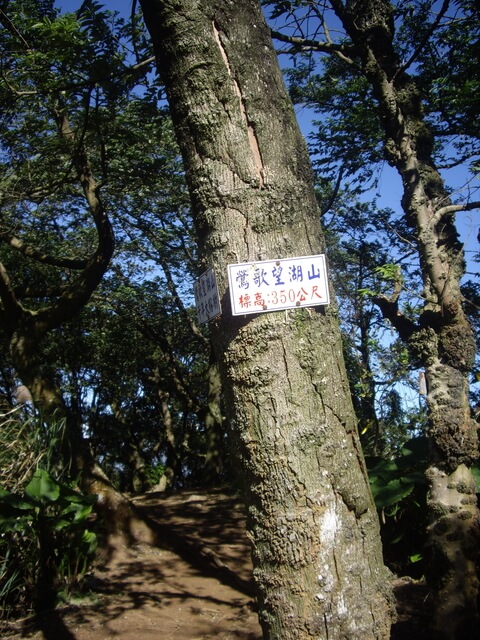 福源山步道、福源山、圳頭山、望湖山