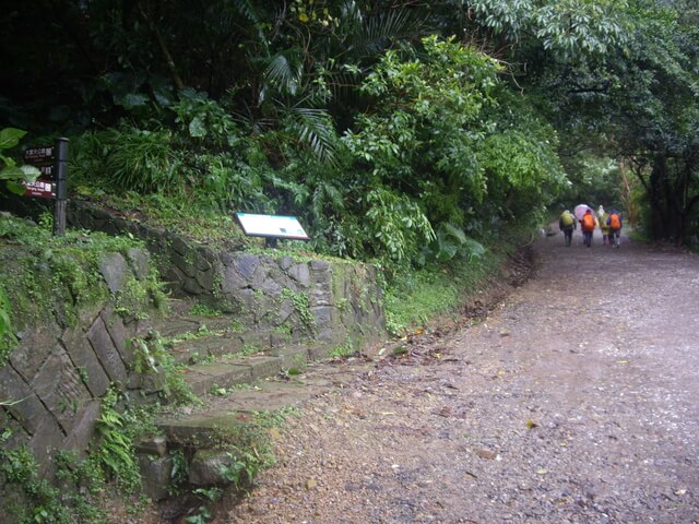 桃源谷步道(草嶺線、大溪線)