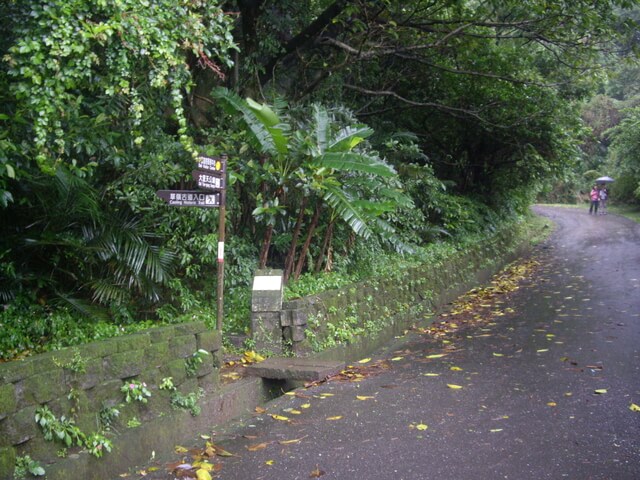 桃源谷步道(草嶺線、大溪線)