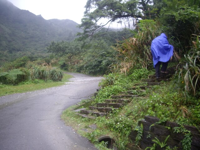 桃源谷步道(草嶺線、大溪線)