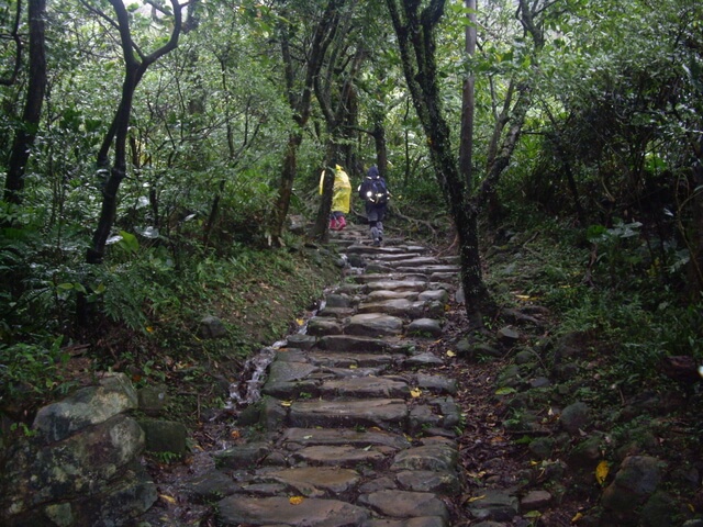 桃源谷步道(草嶺線、大溪線)