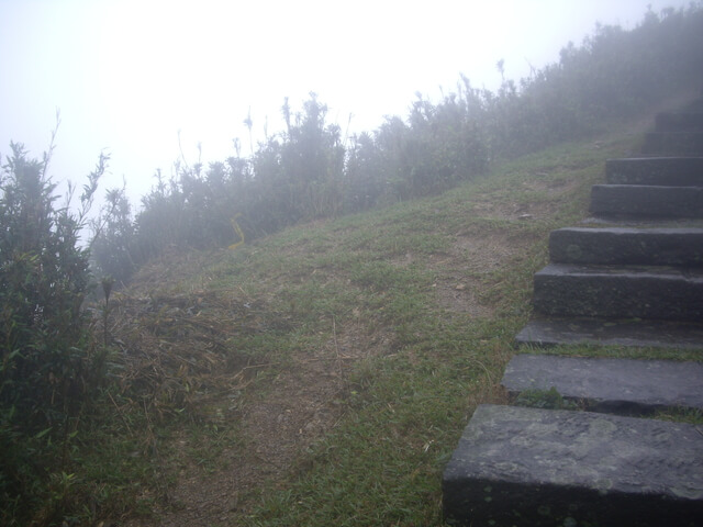 桃源谷步道(草嶺線、大溪線)