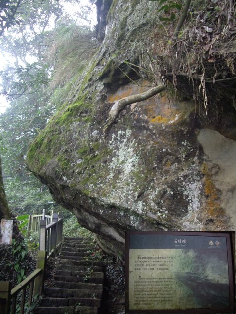 崁頭山 石蟾蜍