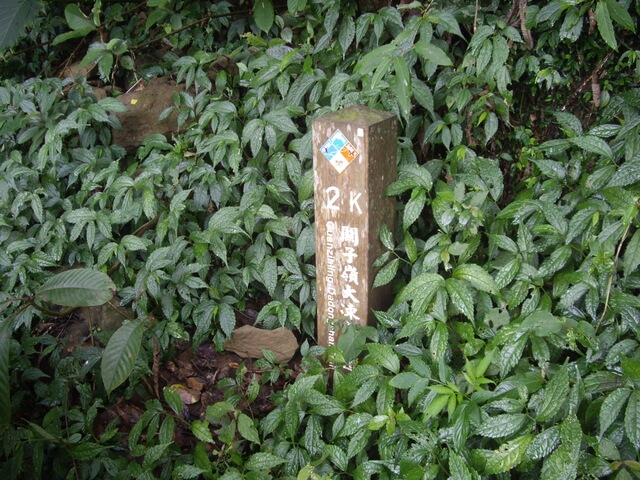 大棟山步道2K里程木樁