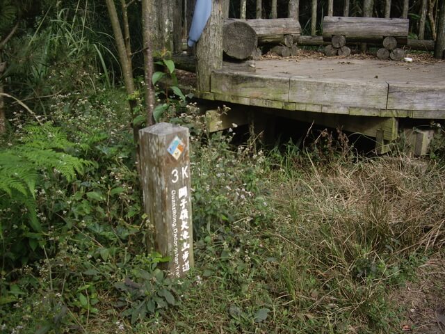 大棟山步道3K處