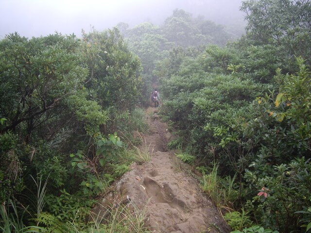 皇帝殿西峰、天王峰、皇帝殿東峰