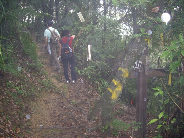 皇帝殿西峰、天王峰、皇帝殿東峰