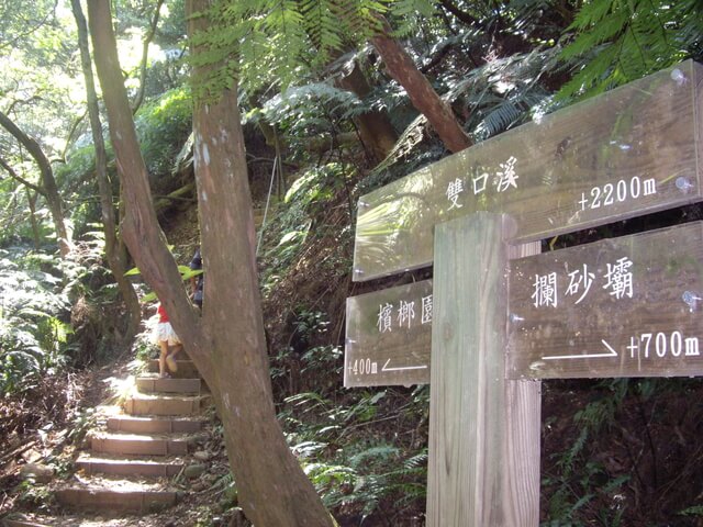 頂福巖森林步道、雪花步道