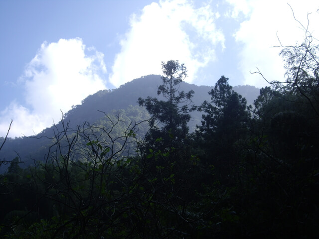 【南投鹿谷】鳳凰山