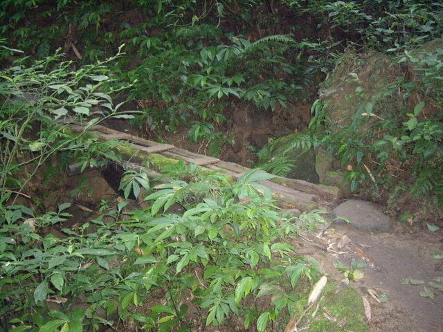 鳳凰山 小木橋