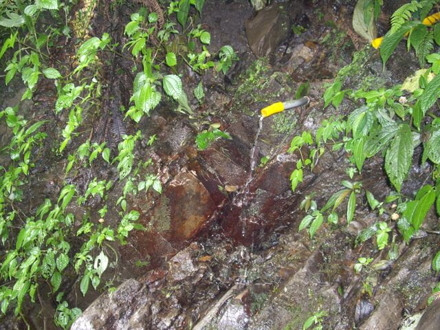 鳳凰山 水源處