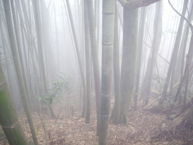 鳳凰山