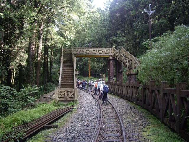 塔山步道 天橋