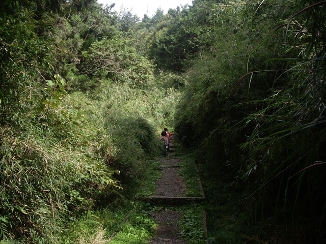 塔山步道、大塔山