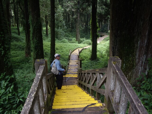 塔山步道、大塔山