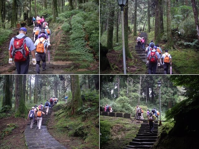 對高岳森林浴步道、對高岳