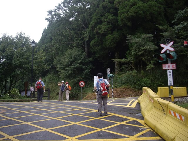 對高岳森林浴步道、對高岳