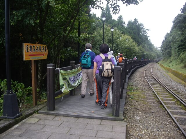 對高岳森林浴步道、對高岳