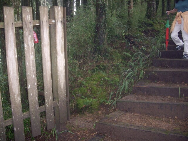 對高岳森林浴步道、對高岳