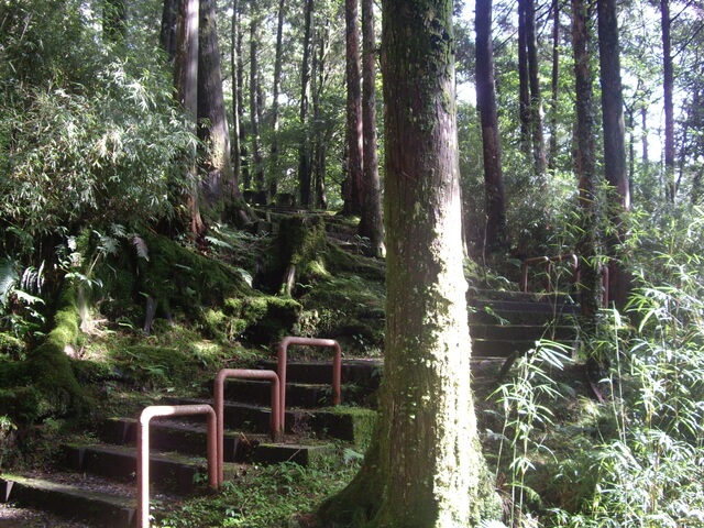 對高岳森林浴步道、對高岳