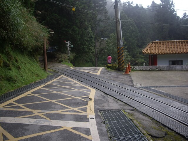 對高岳森林浴步道、對高岳