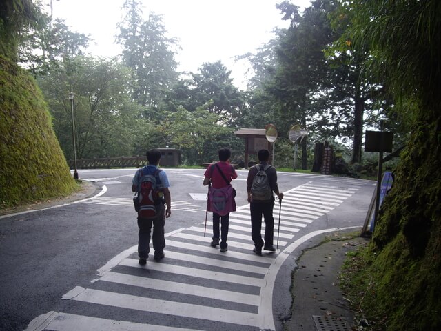 對高岳森林浴步道、對高岳